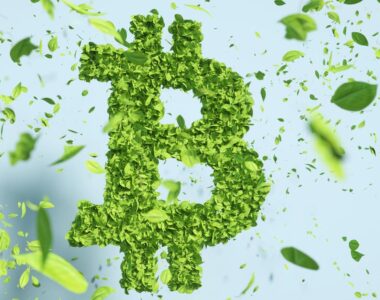 Cryptocurrency Is Surging Again: How to Spot Scams and Keep Your Wallet Safe