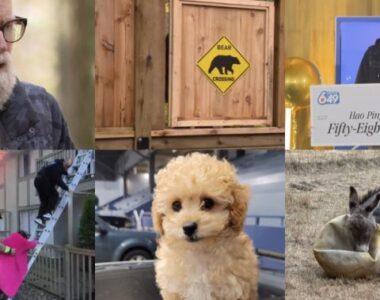 Looking Back at the Best: Global BC's Top YouTube Videos of 2024