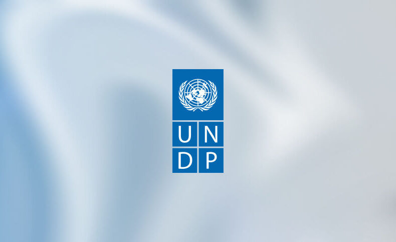 UNDP at AI Forum Maldives 2024: Building a Brighter Tomorrow