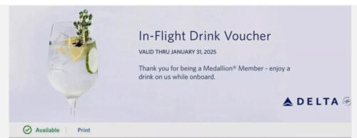 Delta Airlines Drink Voucher Expiration Date January 31 2025