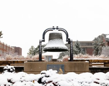Illinois State Redbird AI-AIDE: Empowering Faculty and Staff with AI Tools