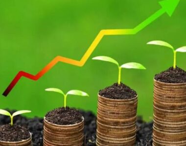 Most Profitable Farming Businesses in Nigeria in 2025