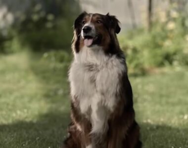 Netflix Feel Good Movies: 6 Picks for a Relaxing Weekend