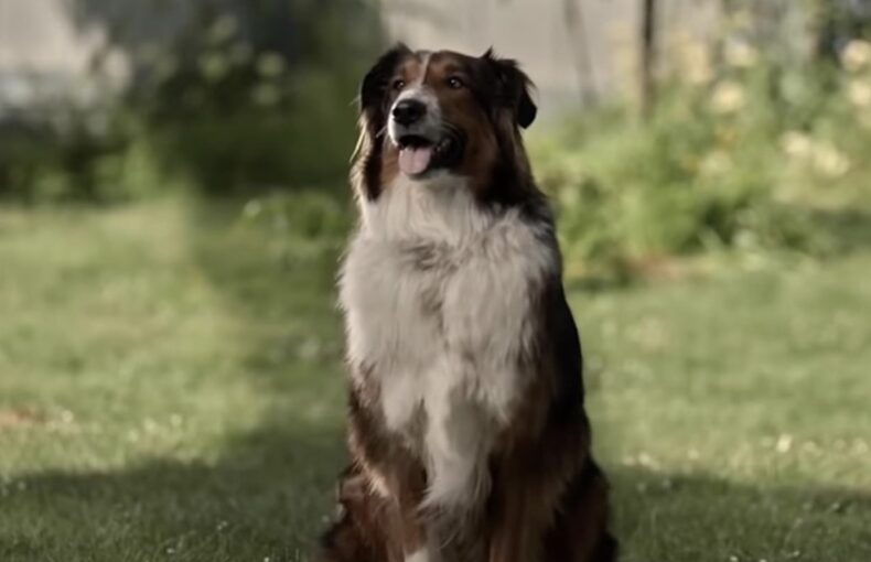 Netflix Feel Good Movies: 6 Picks for a Relaxing Weekend