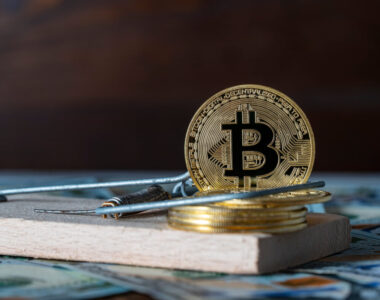 Nigerian Cryptocurrency Fraud Perpetrators: Unmasking Insights