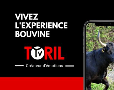 Toril TV Bourrine Course Camargaise