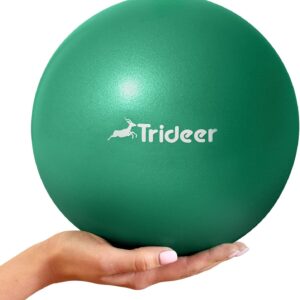 9-Inch Mini Exercise Ball for Physical Therapy, Pilates, and Yoga: Small Workout Ball for Core Strength and Back Support