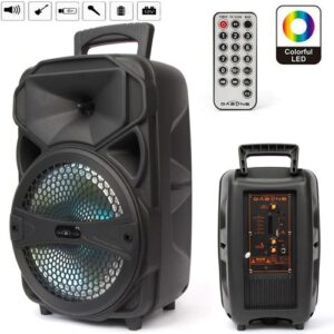 1000W Portable Wireless Bluetooth Speaker Super Bass Stereo Radio FM TF AUX USB
