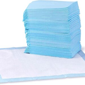 Amazon Basics Dog and Puppy Pee Pads 22x22 Inches Leak Proof Quick Dry Potty Training Standard Absorbency Pack of 100 Blue White