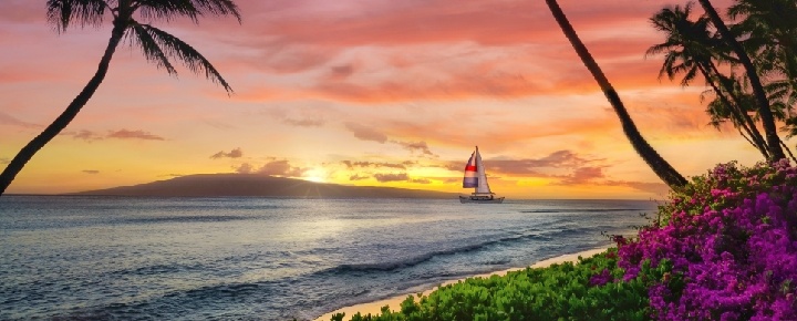 Deported Over Pet Sitting: Why This Story Just Returned To Hawaii Travel News