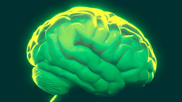 Social Status Affects Addiction Risk Through Brain Circuits