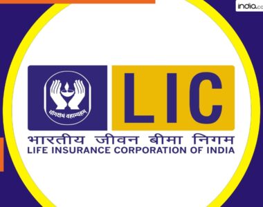 India's Most Profitable Government Company is Not SBI SAIL NTPC ONGC Coal India BHEL