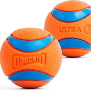 Durable Rubber Dog Balls for Fetching Small 2 Inch Ultra Ball Dog Toy Pack of 2