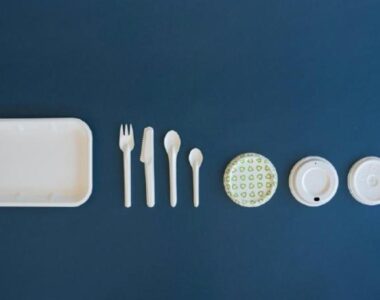 EIB Lends Swedish PulPac 20 Million Euros to Scale Fibre-Based Technology