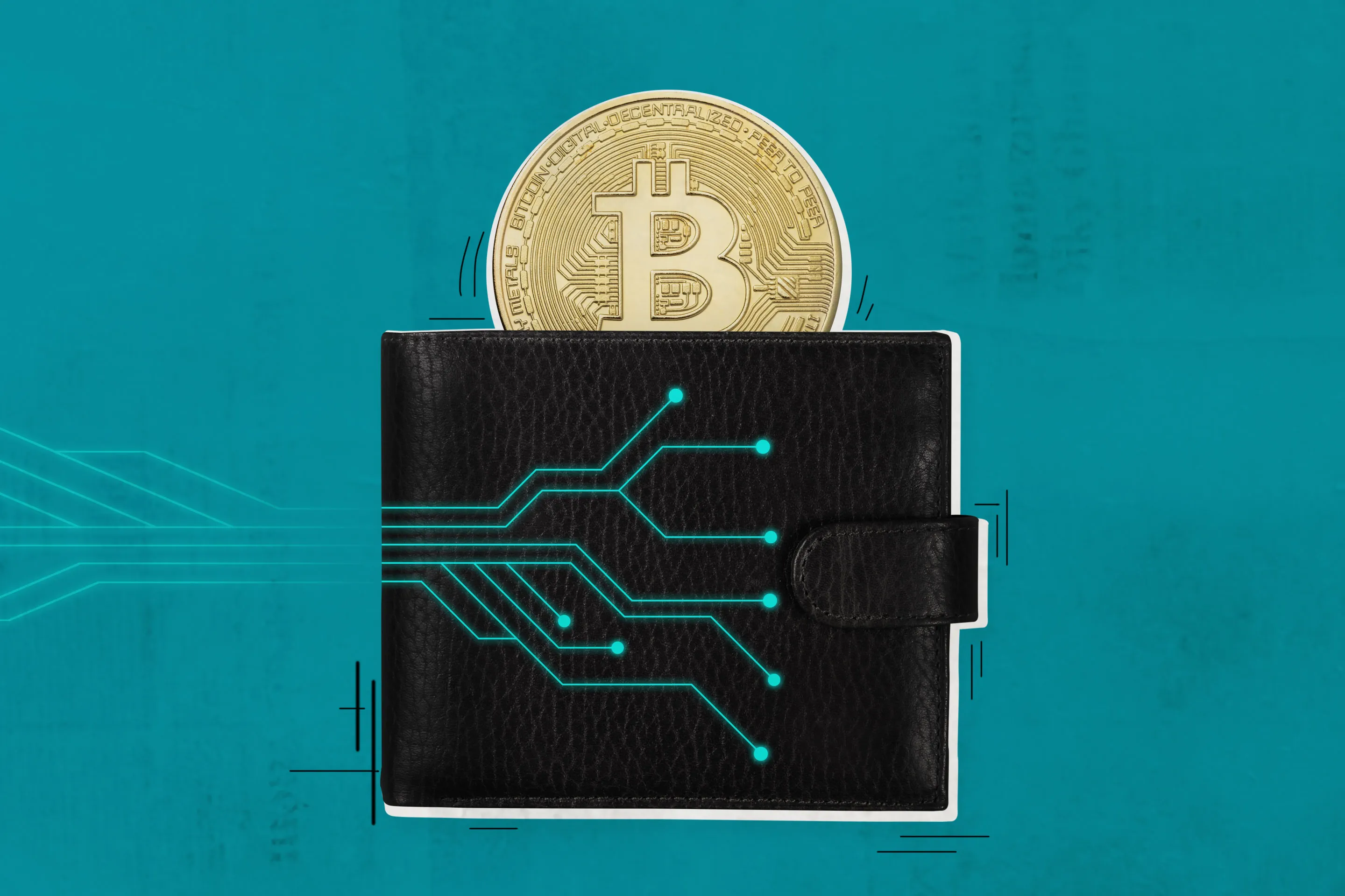 Best Crypto Wallets September 2025