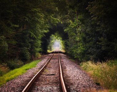Travel