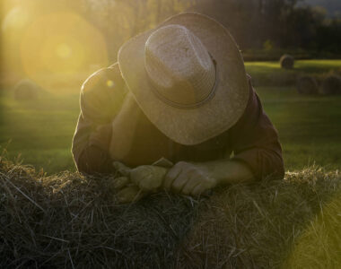 Dealing with Depression in the Beef Industry