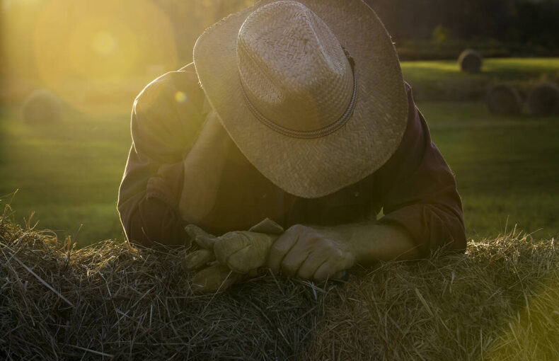 Dealing with Depression in the Beef Industry