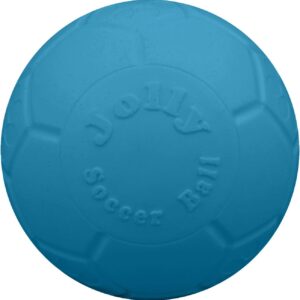 Jolly Pets 8 inch Ocean Blue Large Soccer Ball Floating Bouncing Dog Toy