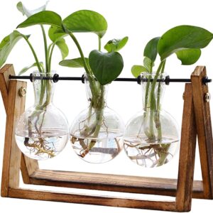 Retro Tabletop Air Planter Terrarium with Wooden Stand and Metal Swivel Holder Glass Vase for Hydroponics Home Garden Office Decoration 3 Bulb Vase