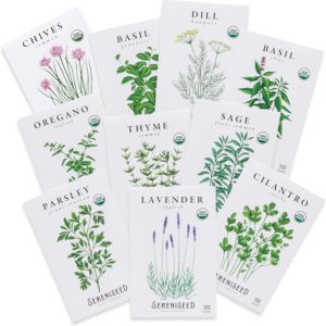Certified Organic Non GMO Heirloom Herb Seeds 10-Pack for Indoor & Outdoor Planting Basil Cilantro Oregano Thyme Parsley Lavender Chives Sage Dill