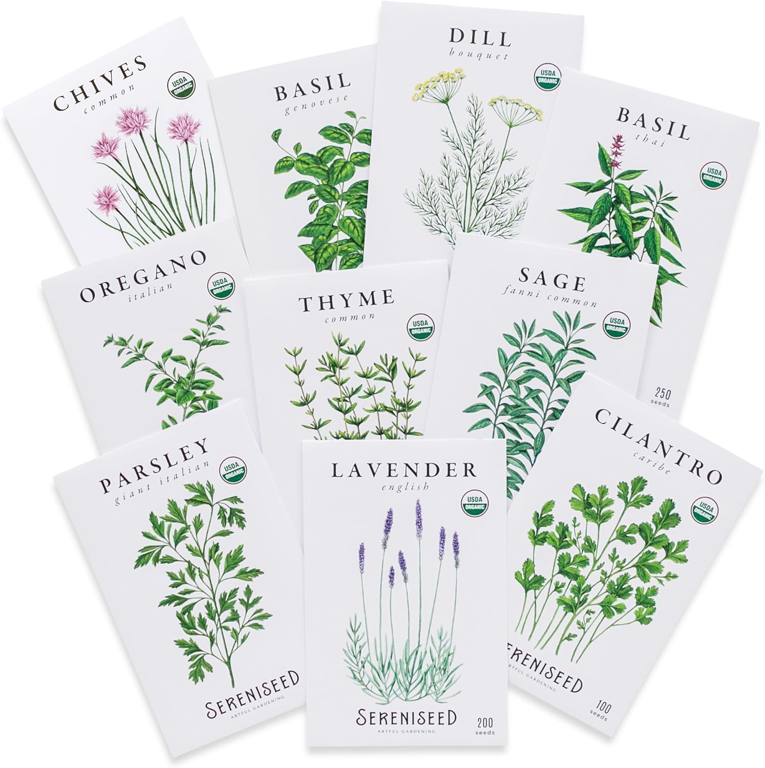Certified Organic Non GMO Heirloom Herb Seeds 10-Pack for Indoor & Outdoor Planting Basil Cilantro Oregano Thyme Parsley Lavender Chives Sage Dill