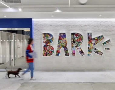 Bark Names President of Core Business