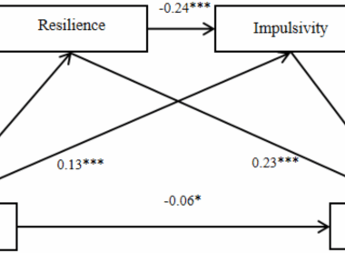 Childhood Maltreatment Impacts Coping in Youths with Major Depression and Bipolar Depression through Resilience and Impulsivity