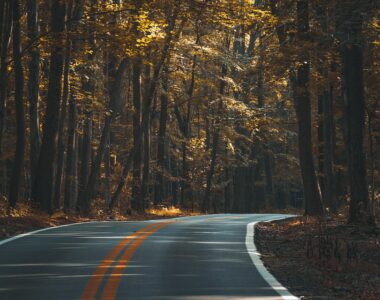 Travel