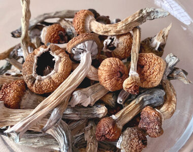 Psilocybin for Advanced Cancer Patients
