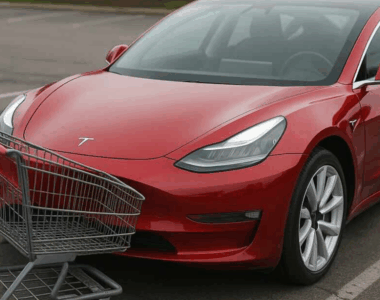 Tesla Stocks Plummet Amid Federal Probe of 2.9 Million Vehicles Investigation