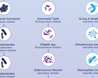 Uncovering Novel Antimicrobials with AI Training