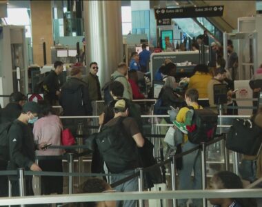 2025 Thanksgiving Travel in San Diego: Best Days and Times