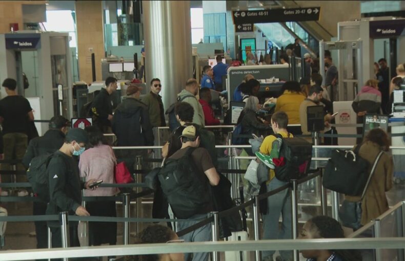 2025 Thanksgiving Travel in San Diego: Best Days and Times