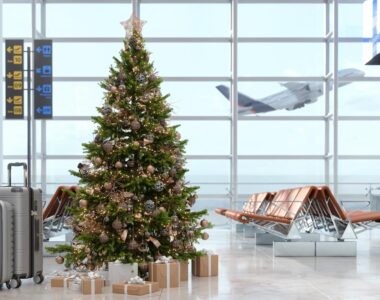 Dream Holiday Trip at a Fraction of the Cost