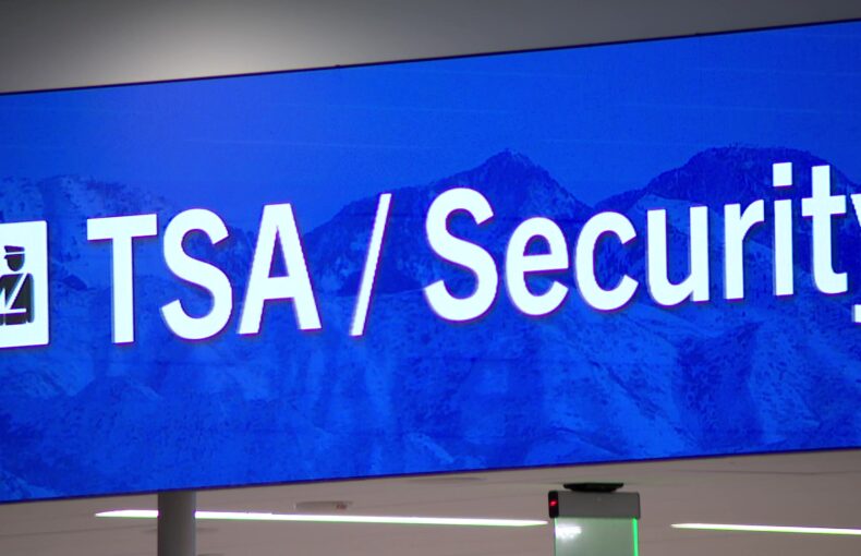 Government Shutdown Sparks Dire Air Travel Warning of Mass Chaos