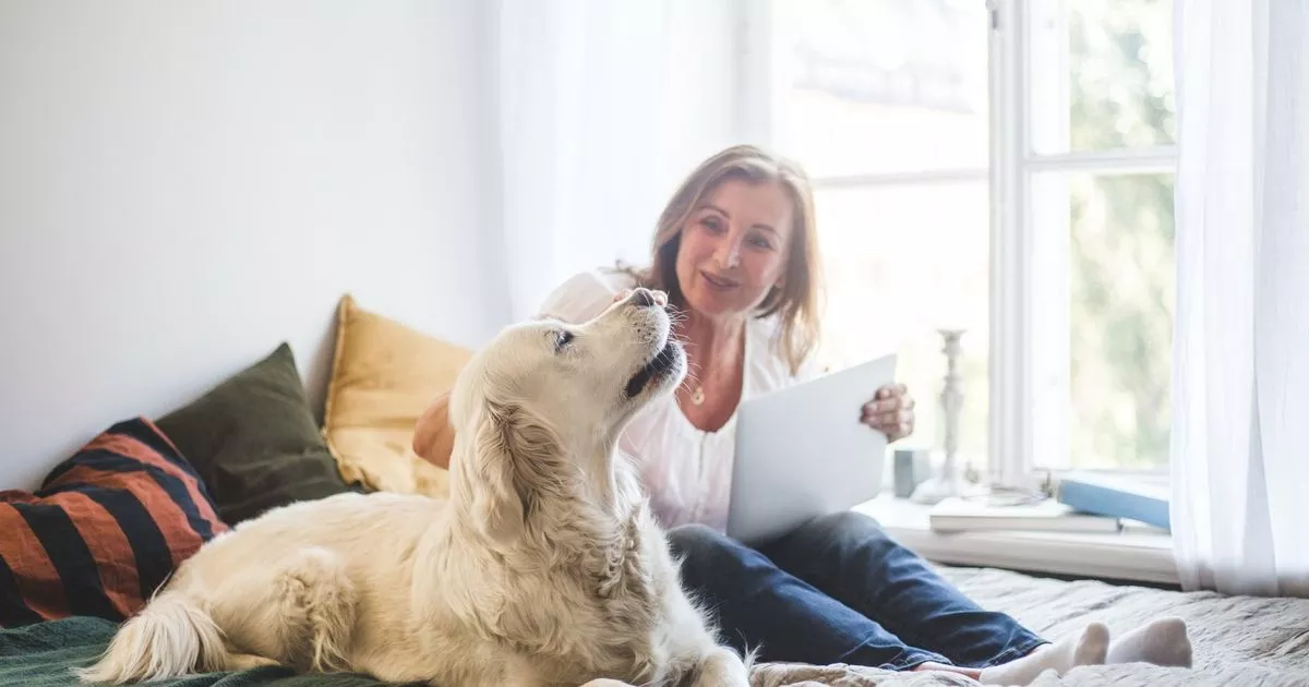 People Who Talk to Dogs Like Humans Exhibit These 7 Traits Psychologists Say