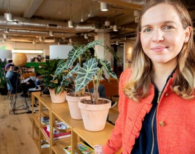 Small Businesses Competing with Giants this Holiday Shopping Season