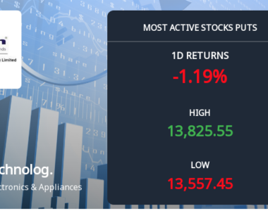 Dixon Technologies India Sees Heavy Put Option Activity Ahead of December Expiry