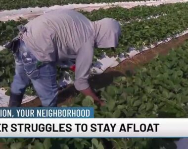 Market Conditions Force Farmers Out of Business