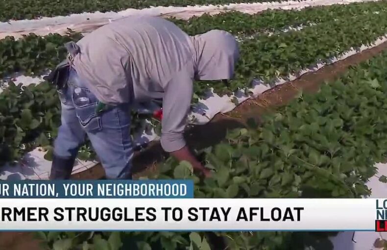 Market Conditions Force Farmers Out of Business