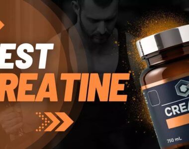 Top 6 Brands Reviewed and Compared