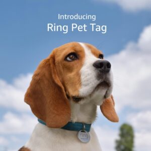 QR Code Pet Tag with Real-Time Scan Alerts and Shareable Profile No Subscription Fees