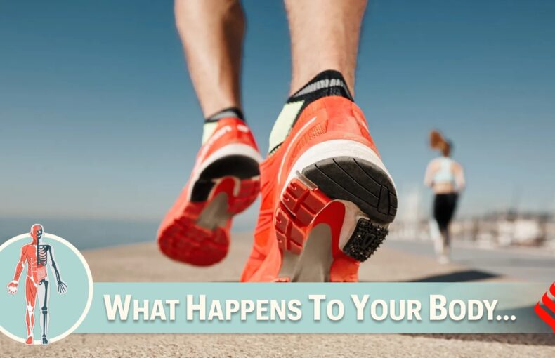 What Happens to the Body When You Jog 10km for 84 Days Fitness News